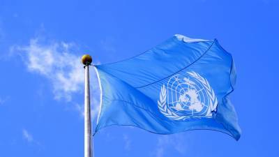 Новая рабочая группа ООН по информационной проблематике начнёт работать в июне