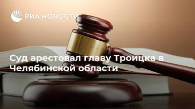 Суд арестовал главу Троицка в Челябинской области