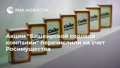 Акции "Башкирской содовой компании" перечислили на счет Росимущества