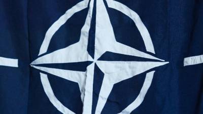 Эксперты "Атлантический совета" при НАТО разошлись в позициях по России