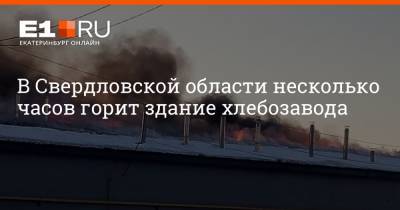В Свердловской области несколько часов горит здание хлебозавода