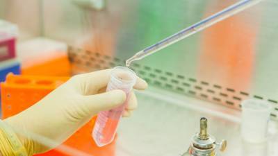 Минздрав разрешил исследования первого в РФ биомедицинского клеточного продукта