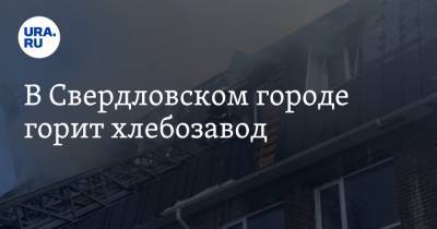 В Свердловском городе горит хлебозавод