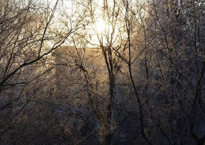 В Рязанской области побит температурный рекорд, державшийся 119 лет