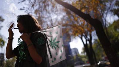 Мексика легализует марихуану - ru.euronews.com - Россия - Англия - Мексика - Великобритания