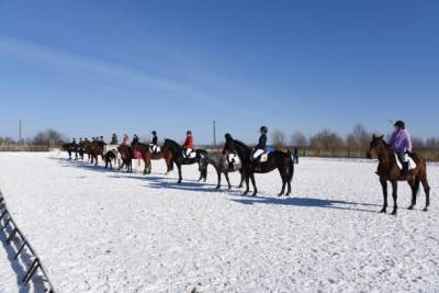В Коми стартовали первые послекарантинные соревнования по конному спорту