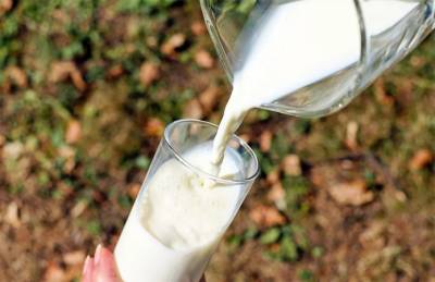 Rabobank прогнозирует восстановление спроса на молочном рынке в 2021 году