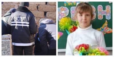 Трагедия с 7-летней Машенькой Борисовой: в сети указали на странности, "тот сарай прочесывали трижды, но..."