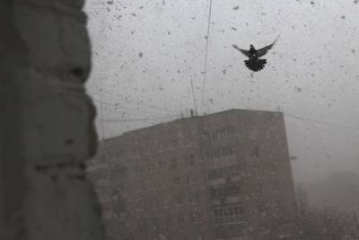 В Москве объявлена желтая погодная опасность: идет буран