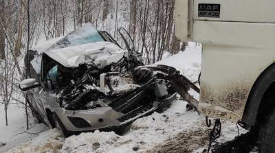 В Быховском районе столкнулись легковушка и грузовик - понадобилась помощь спасателей