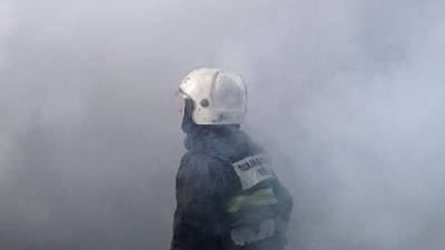 Спасатели эвакуировали 40 человек из горевшего ТЦ в Сыктывкаре