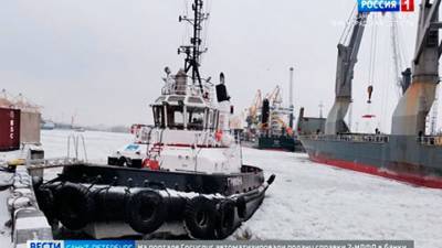 В морском порту Петербурга столкнулись теплоход и буксир
