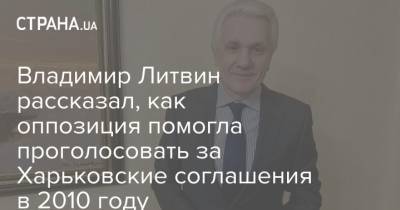 Владимир Литвин рассказал, как оппозиция помогла проголосовать за Харьковские соглашения в 2010 году