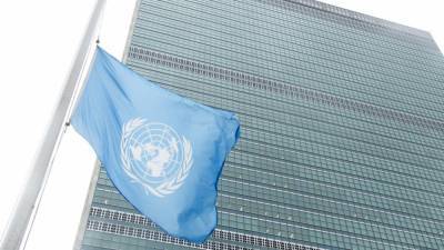 Россия воздержалась от голосования за расширение контингента миротворцев ООН в ЦАР