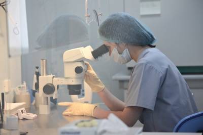 Зарплату в 20 тыс. рублей назвали достаточной для молодых ученых