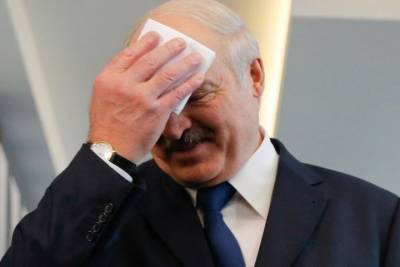 Лукашенко прокомментировал фильм о его тайных богатствах