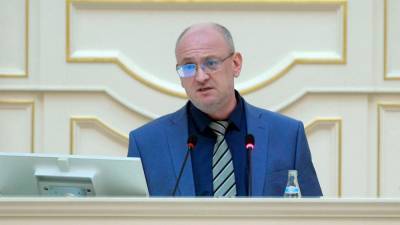 Ремесло дал совет скандально известному депутату петербургского ЗакСа Резнику