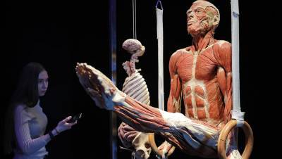 В РПЦ считают неприемлемым проведение анатомической выставки на ВДНХ