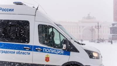 Петербург и Ленобласть попали в тройку регионов по росту преступности