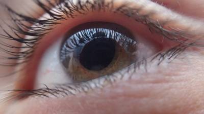 Найдены еще 50 отвечающих за цвет глаз генов