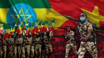 Сепаратисты Тиграя обвинили власти Эфиопии в нашествии саранчи и голоде