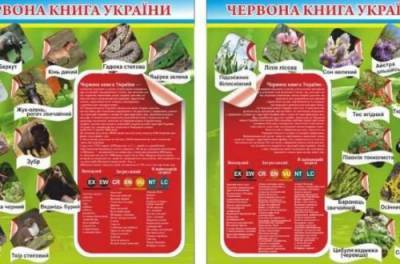 В Красную книгу Украины добавили сурка, лося и сусликов