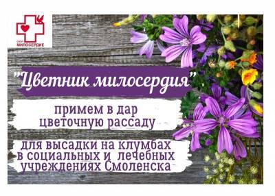 «Цветник милосердия». Волонтеры украсят клумбы у лечебных учреждений Смоленска