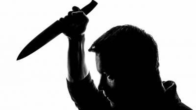 Пьяный житель Тихвина угрожал полицейским ножом