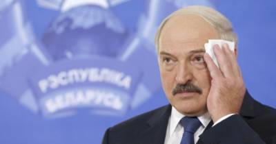 Лукашенко прокомментировал фильм-расследование о его тайных богатствах