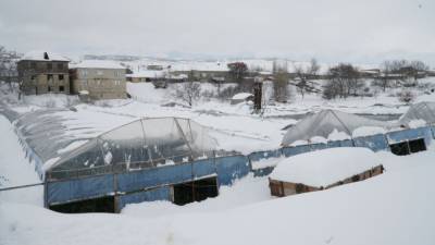 Снегопад нанес ущерб на десятки миллионов рублей тепличникам в Дагестане