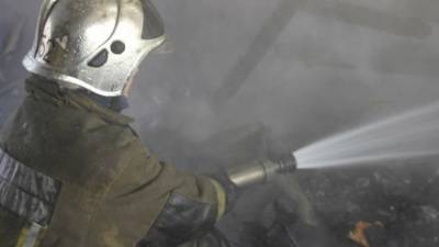 Пожар под Новосибирском унес жизни взрослого и двоих детей