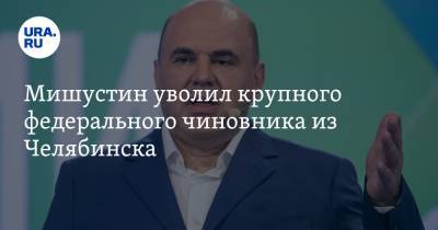 Мишустин уволил крупного федерального чиновника из Челябинска