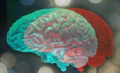 Wired (США): произойдет ли при пересадке человеческой головы пересадка сознания?