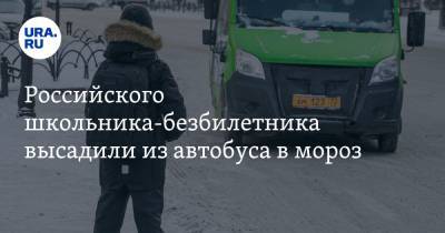 Российского школьника-безбилетника высадили из автобуса в мороз