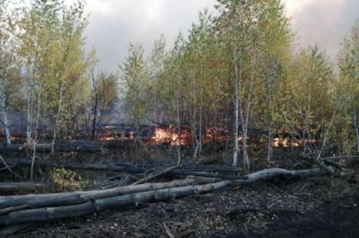В Хабаровском крае зарегистрирован первый лесной пожар