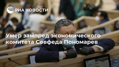 Умер зампред экономического комитета Совфеда Пономарев