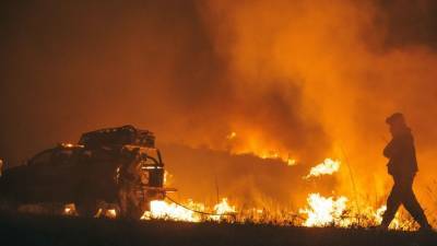 Первый лесной пожар в 2021 году зафиксировали в Хабаровском крае