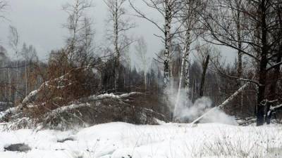 На Дальнем Востоке России начался сезон лесных пожаров