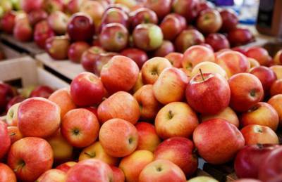 Гадз расширит площади самого популярного в мире сорта яблок