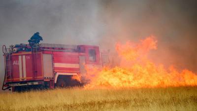 В МЧС назвали число поселений, подверженных угрозе лесных пожаров