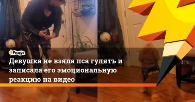 Девушка не взяла пса гулять и записала его эмоциональную реакцию на видео