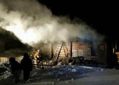 Братишку вынес 11-летний сын: мать с двумя детьми погибла на пожаре в Сибири