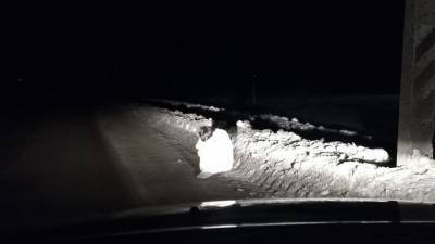 Раздетую женщину нашли в мороз на обочине воронежской дороги