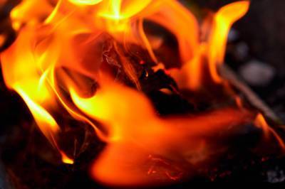 Жители Калужской области сожгли "коронавирусный" 24-метровый арт-объект на Масленицу