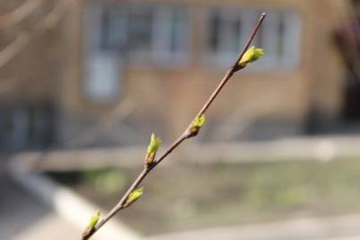 В Башкирию климатическая весна может прийти на следующей неделе