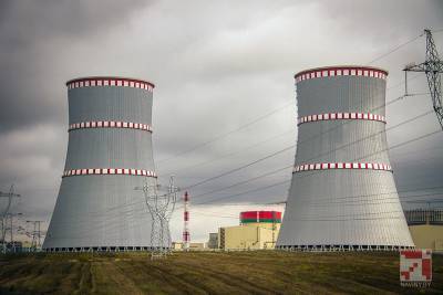В январе Беларуси удалось экспортировать свою электроэнергию только в Украину