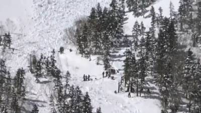 ЧП на курорте: лавина накрыла горнолыжников, есть пострадавшие