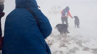 Нулевая видимость и жуткая пурга: на Иркутскую область обрушилась сильная метель — видео