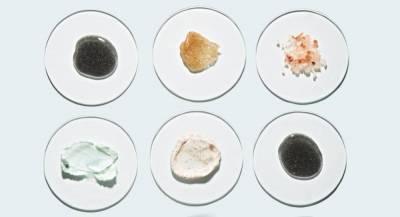 6 необычных ингредиентов для ухода за кожей, которые стоит попробовать - skuke.net - Южная Корея