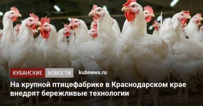 На крупной птицефабрике в Краснодарском крае внедрят бережливые технологии